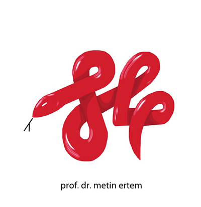 Prof. Dr. Metin ERTEM